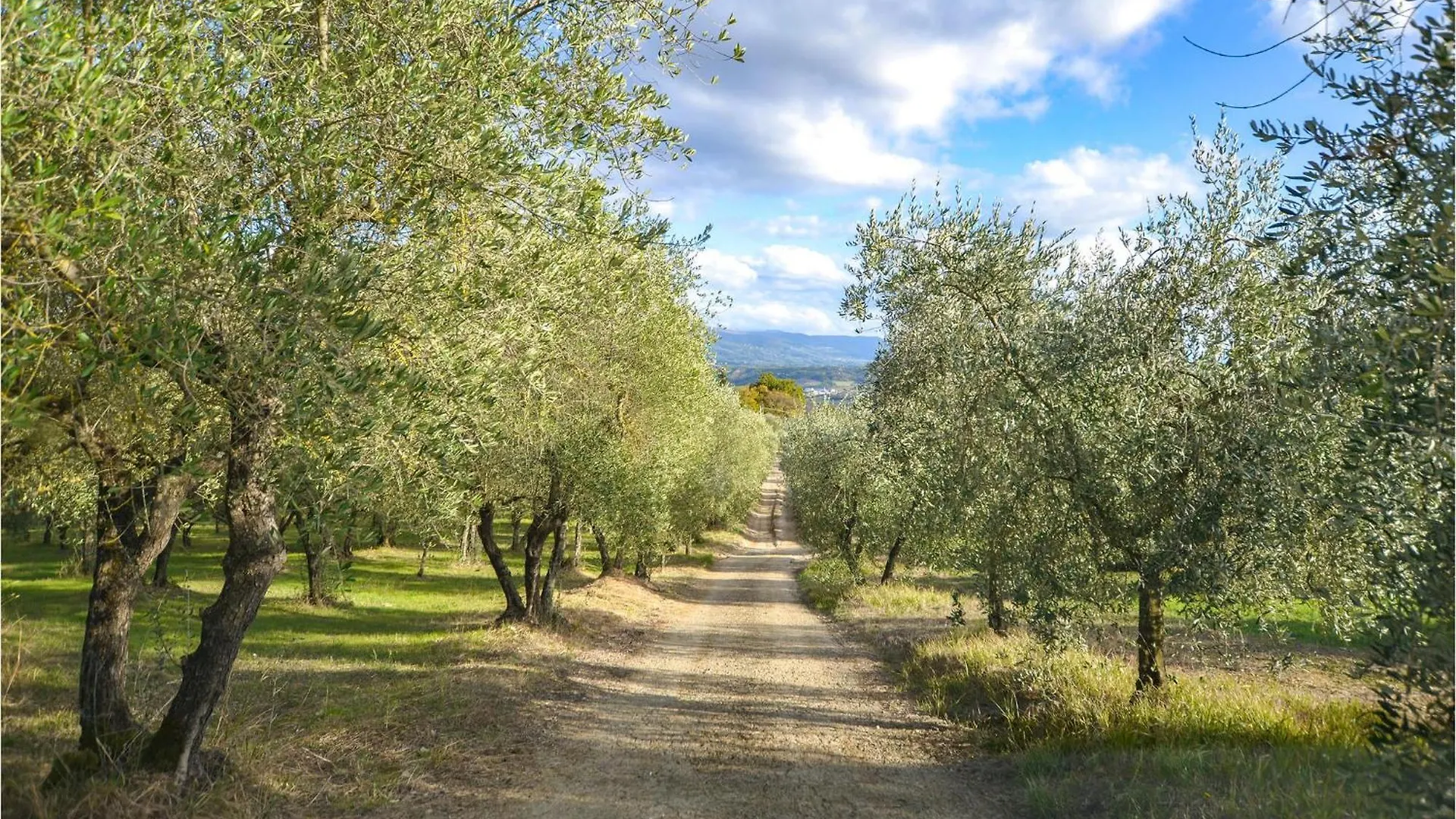 Cozy Apartment In Rignano Sullarno With Jacuzzi Rignano sullʼArno